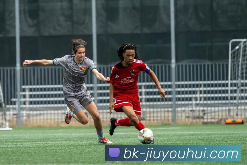 九游会J9官网平台生态图